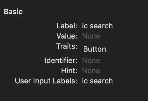 Ic search icon image example